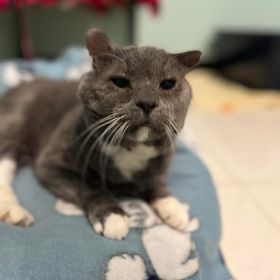 Max