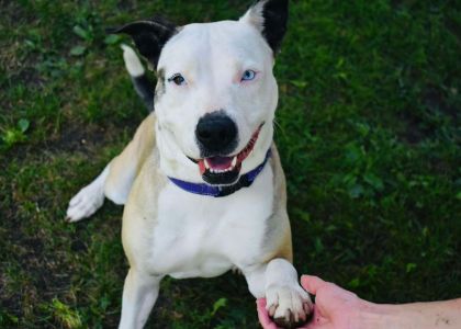 Della