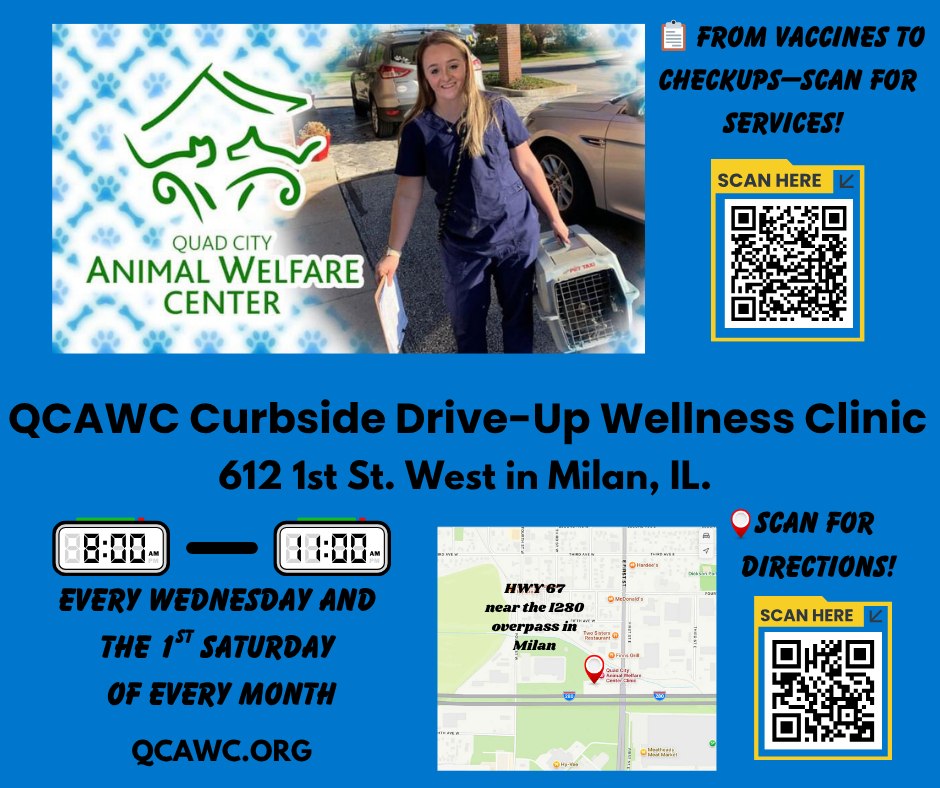 515500554 1142711361222990 5039821502046579250 n