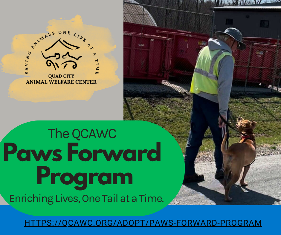 Pawsforwadgrphicwebsite