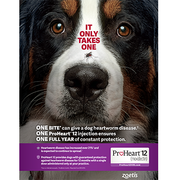 Proheart 12 dvm sell sheet leave behind 1