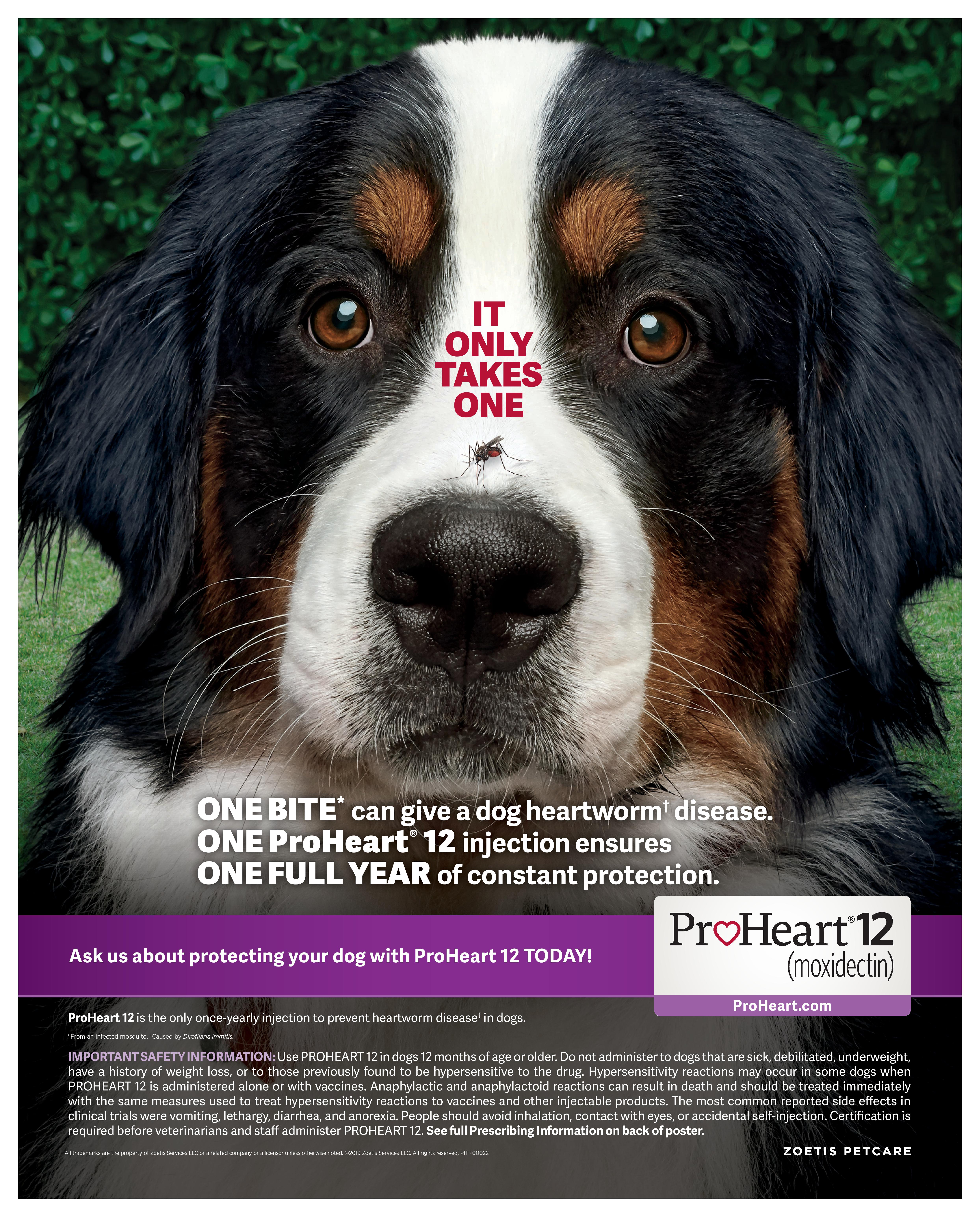 Proheart 12 in office poster page 001
