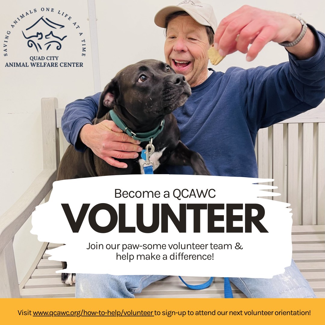 Volunteergraphic