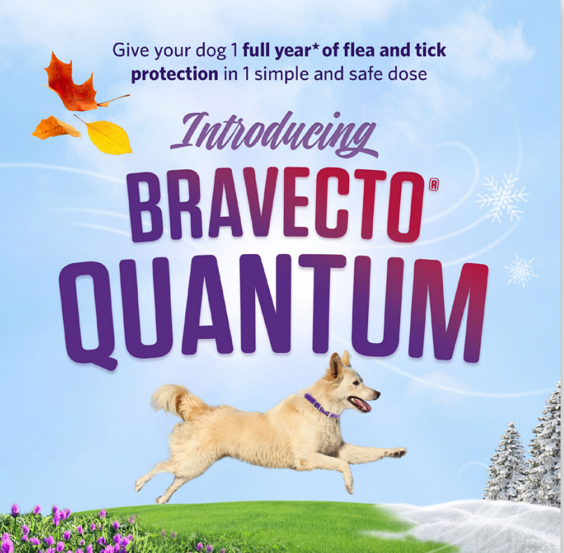 Bravectoquantum