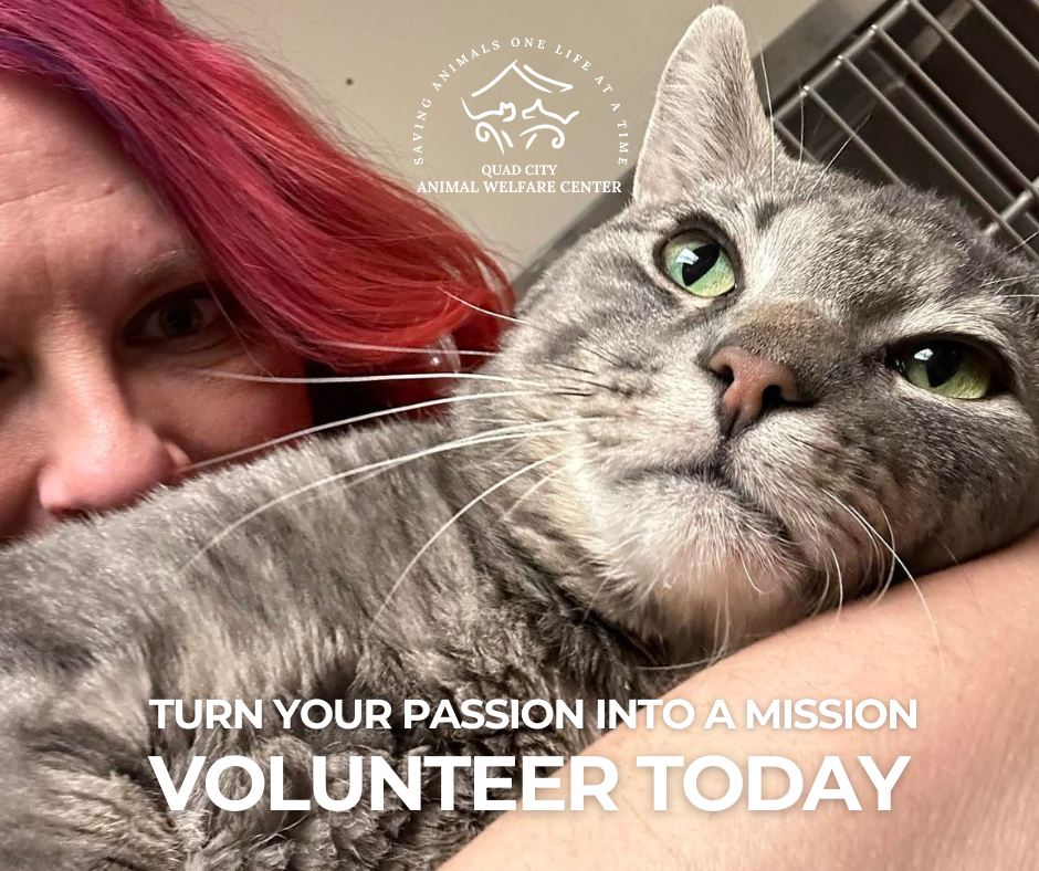 Volunteerpassion1