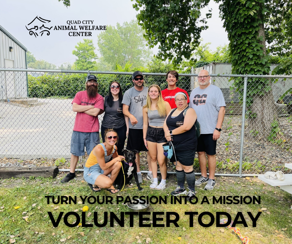 Volunteerpassion2